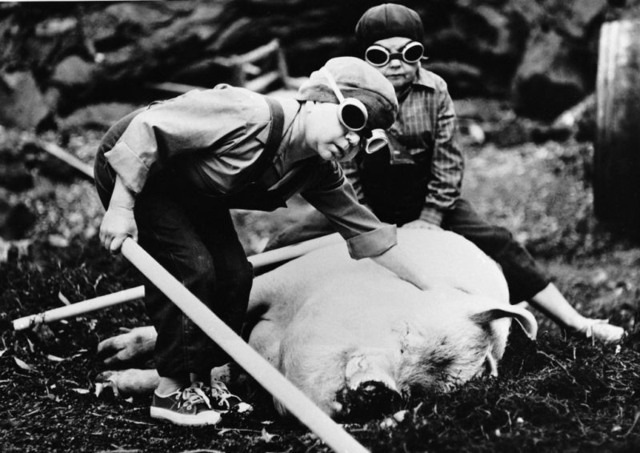 También los enanos empezaron pequeños