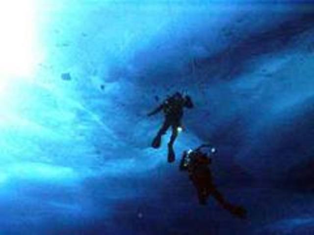 Went diving in the Artic Ocean.