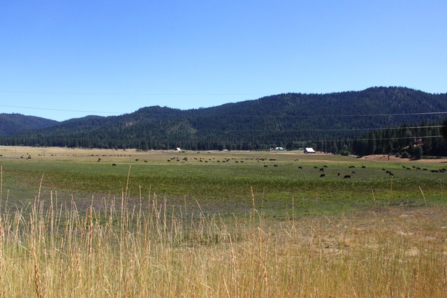 Going Outside and Being more Active