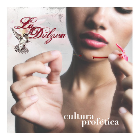 Tercer Disco "Diario"