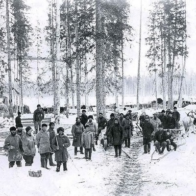 Timeline: История механизации лесозаготовок