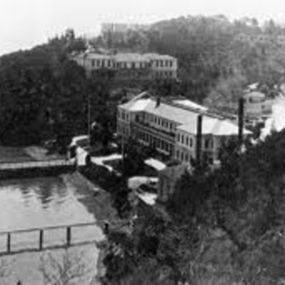 Timeline: Niamh Lee angel island from China