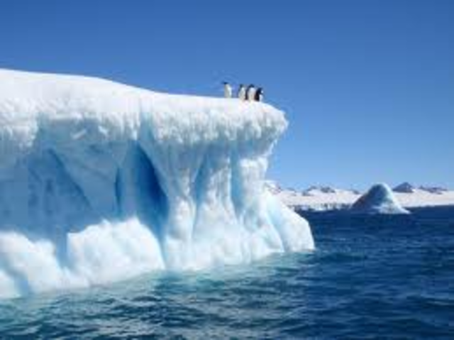 See Antartica