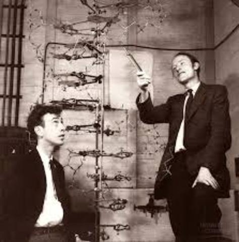 James Watson y Francis Crik