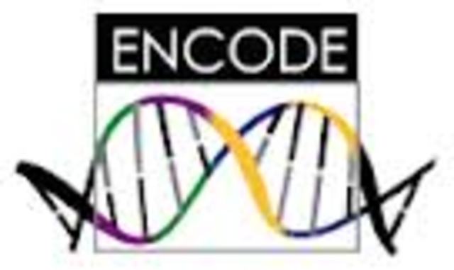 Se termina el Proyecto Piloto ENCODE (ENcilopedia of DNA Elements)