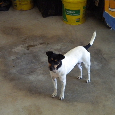 Timeline: Ryan VS's Timeline