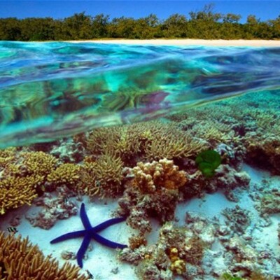 Timeline: Great Barrier Reef - Protecting What You Can't See