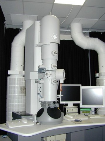 Electron microscope