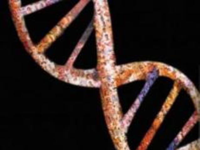 Determinación del código genético