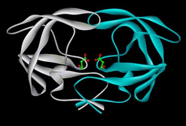 Primer fármaco basado en la tecnología ADN