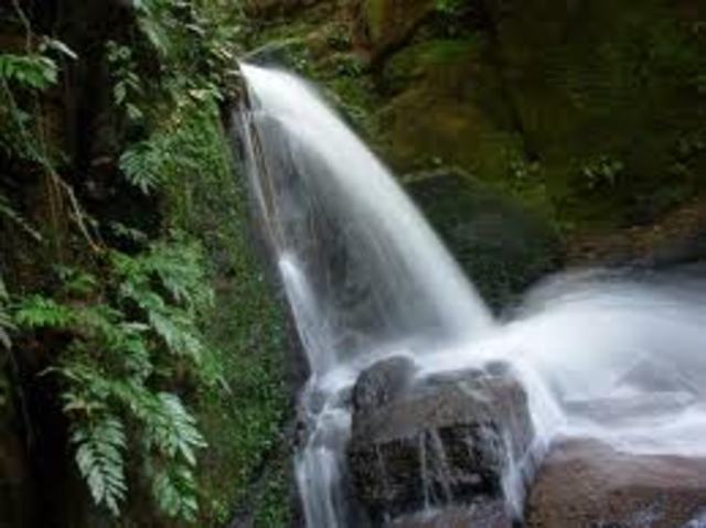 parque estadual da pedra branca