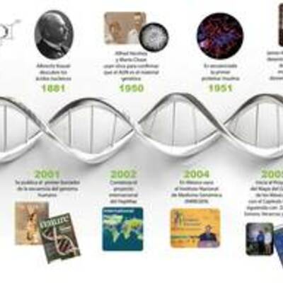 Timeline: CRONOLOGÍA DEL GENOMA HUMANO