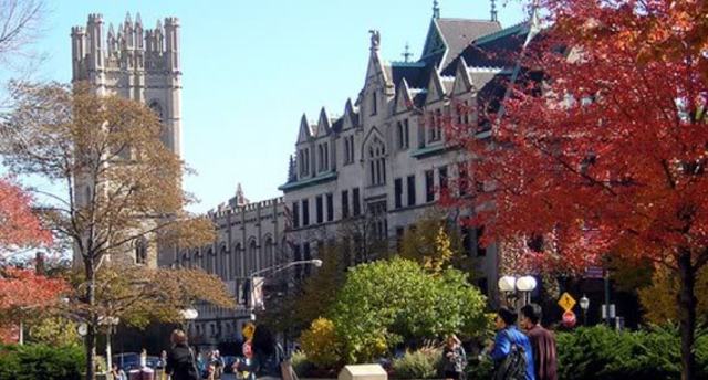 The University of Chicago leaves