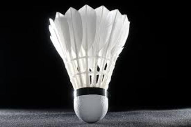 Play professical batmitten