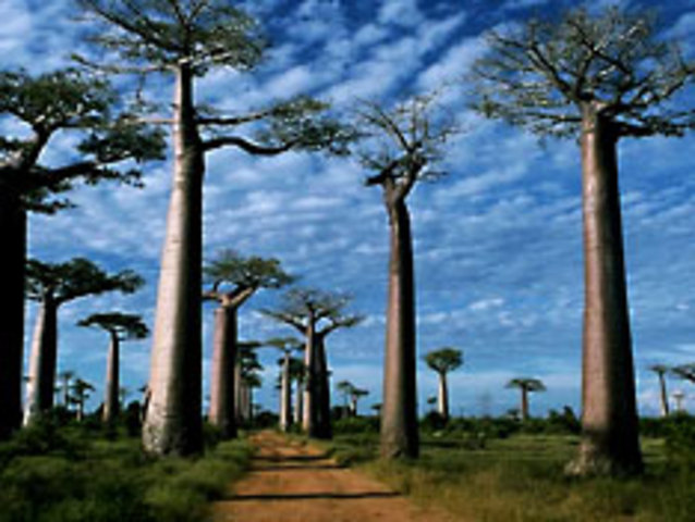 Madagascar