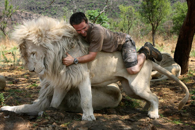 I would ride a lion