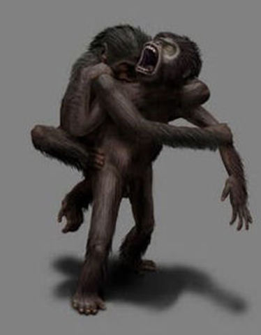 Ardipithecus.
