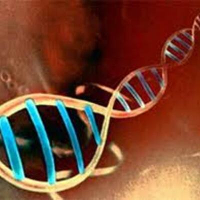 Timeline: CRONOLOGIA DEL GENOMA