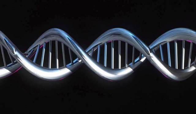 REMINACION DE LA SECUENCIA DEL GH