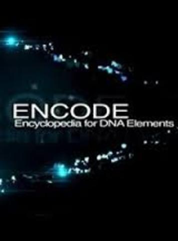 ENCICLOPEDYA OF DNA ELEMENTS