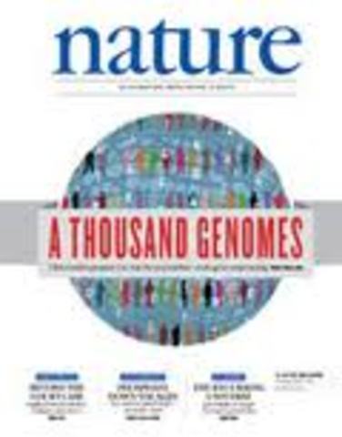 PROYECTO PILOTO DE LOS 1000 GENOMAS