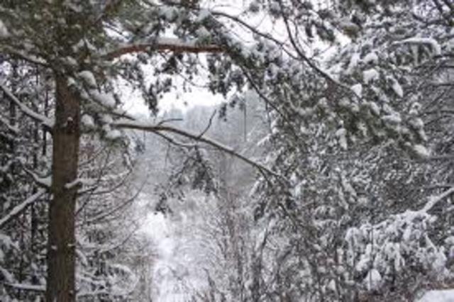 Поездка Пришвина корреспондентом на фронт