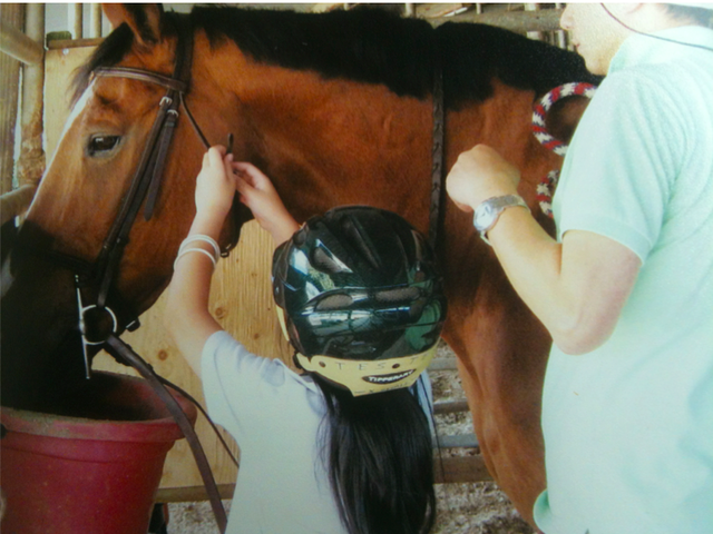 First time tacking a horse up