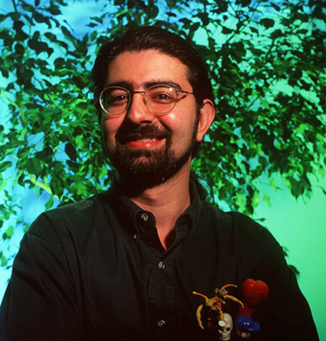 Mediante subastas…