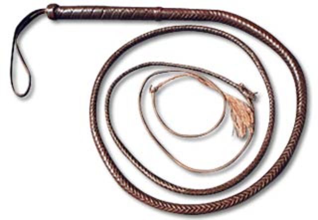 U.S governement responsible for whipping Japanese