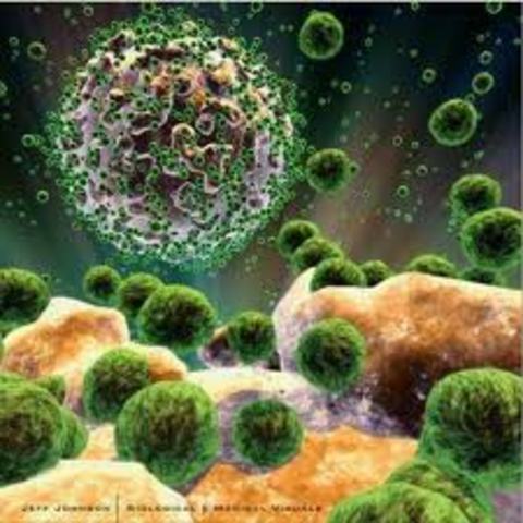 Acquired Immune Deficiency Syndrome