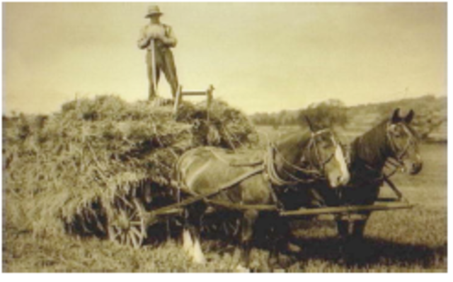 The Repeal of Corn Laws