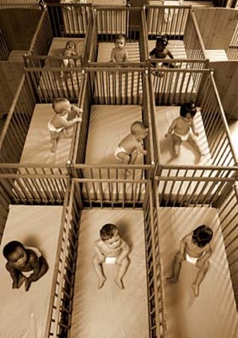 Baby Boom and Effect Continued