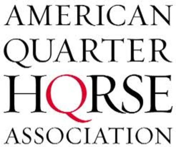 AQHA launches its first website