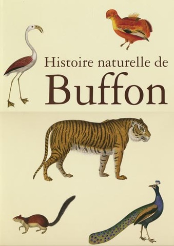 Comte de Buffon writing of Histoire Naturelle