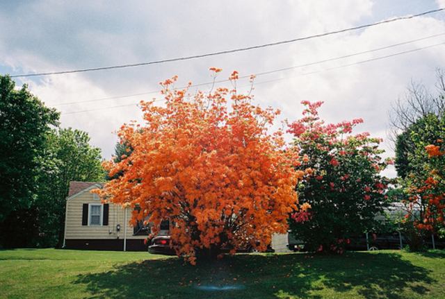 Fraser Valley gold rush