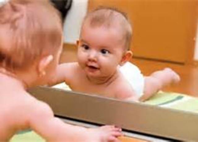 Months 11/12- Social