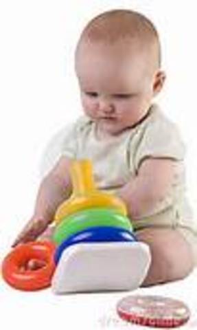 Months 5/6- Intellectual