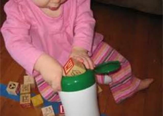 Months 9/10- Intellectual