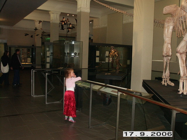 Museum