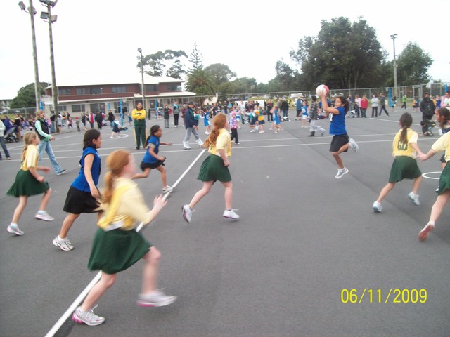 Netball