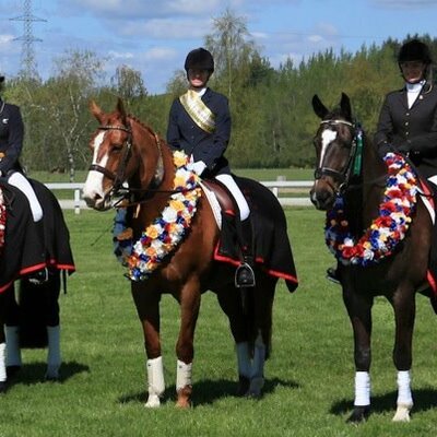 Timeline: AutoBiography