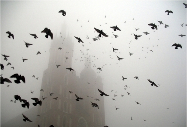 The British North America Act