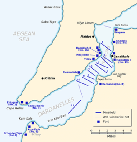 Dardanelles campaign begins