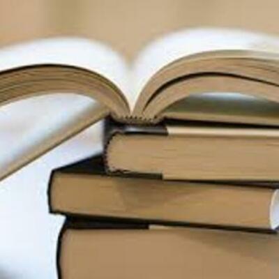 Timeline: My Reading Log 2013