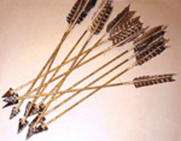 flechas,arcos y arpones