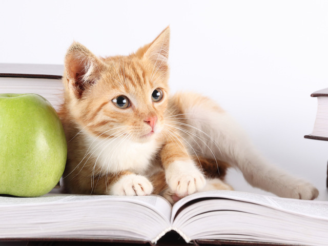 Мы растем)))