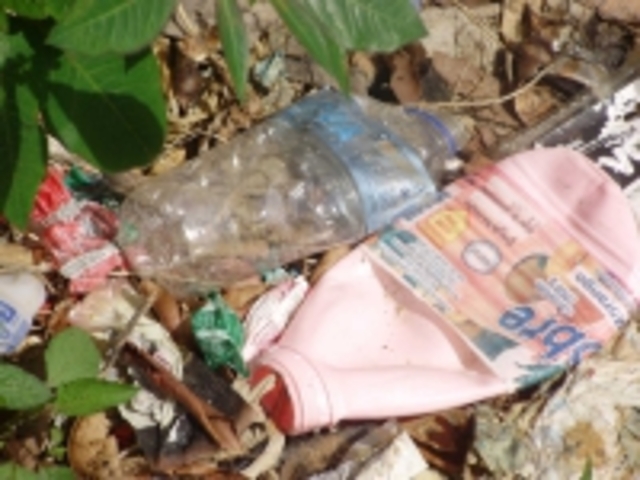 Combate à dengue é feito nos bairros