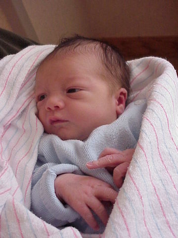 Little Brother Was Born