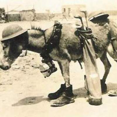 Timeline: World War 1