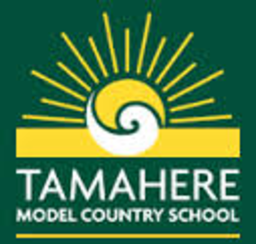 2006 Tamahere Primary School